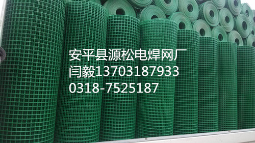 綠色養(yǎng)雞鐵絲網(wǎng)